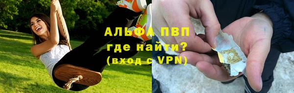СК Алексин