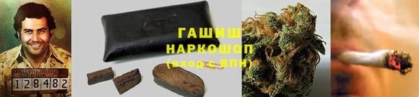 СК Алексин