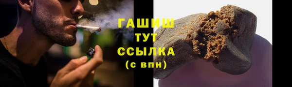 прущие грибы Алзамай